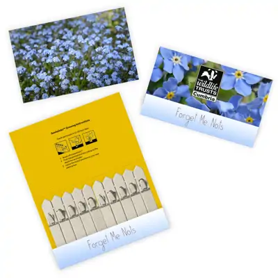 Promotional 10 Stick Seedstick - Flowers