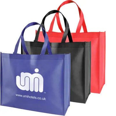 Large Non-Woven Trade Show Bags