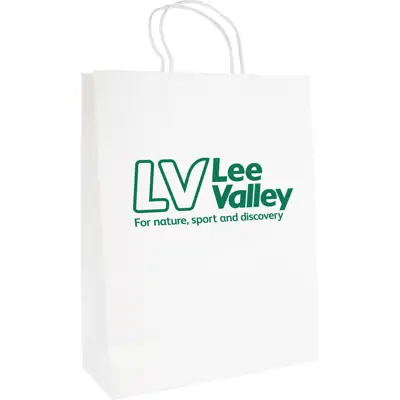 Large Printed Paper Gift Bag - White