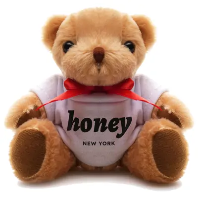 Promotional Teddy Bear